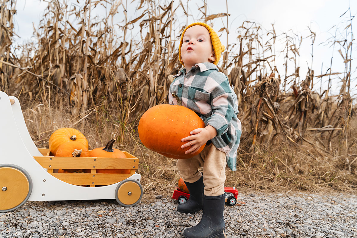 Why_Pumpkin_Play_Matters